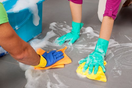 Cleaning supplies for oven maintenance