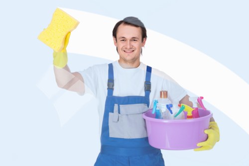 Professional sofa cleaning in a living room