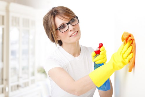 Rug cleaning in a bright living room setting