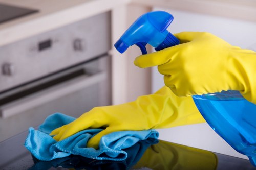 Domestic cleaning in a bright modern living room