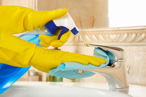 Kitchen domestic cleaning with organized surfaces