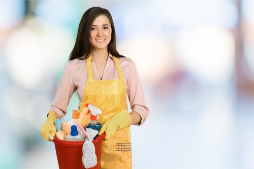 Cleaning tools and polished surfaces in a Richmond upon Thames property