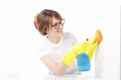 Deep house cleaning tools and organized home maintenance setup