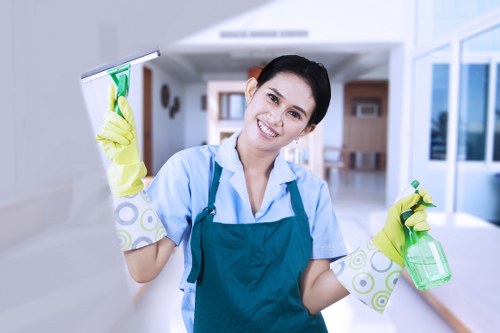 Deep carpet cleaning equipment removing dirt from fibers