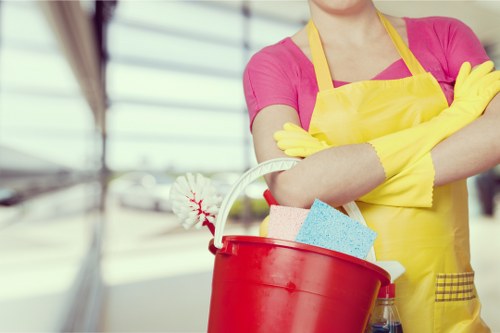 Eco-friendly domestic cleaning supplies on a countertop